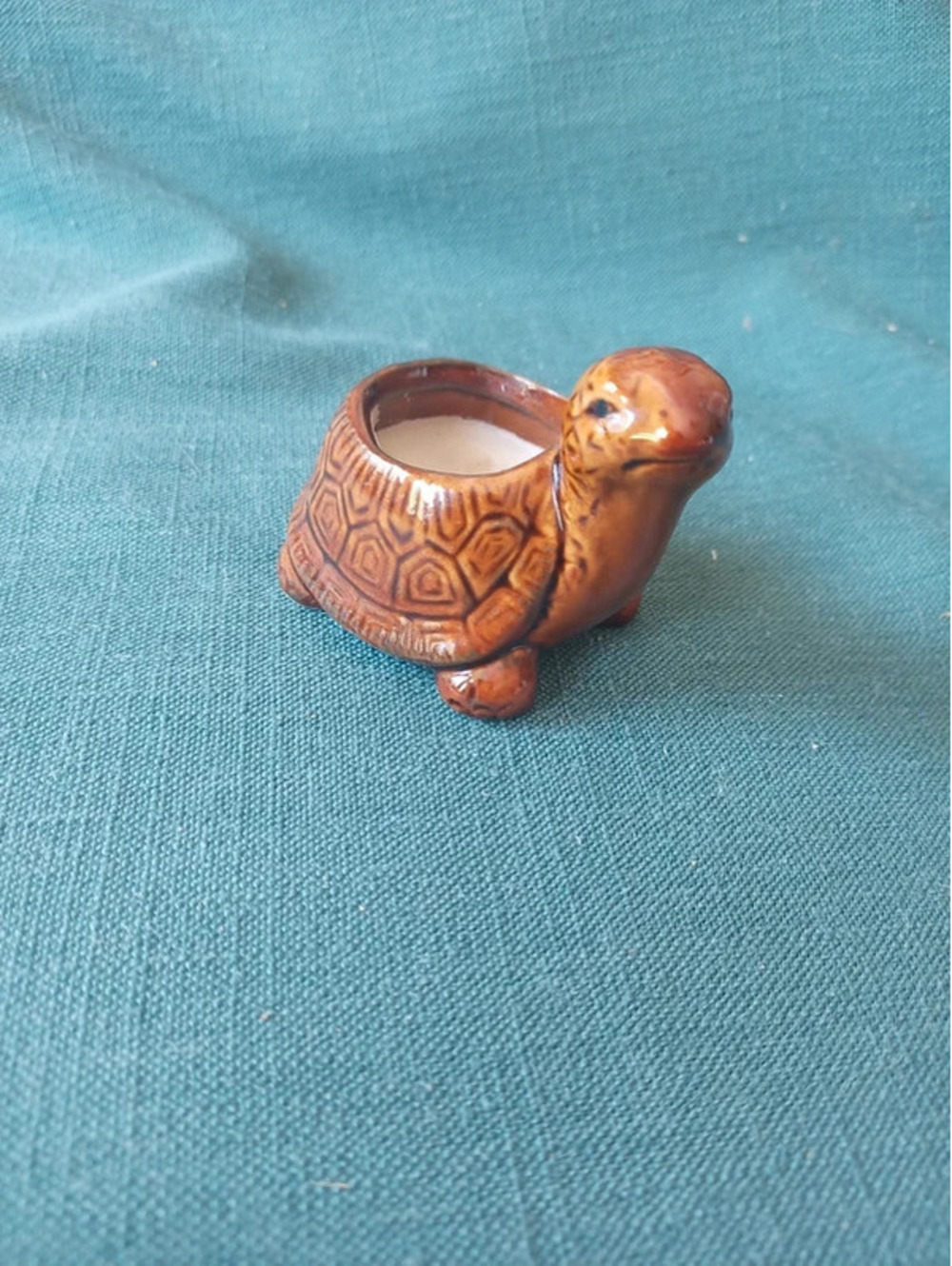 Turtle candle holder